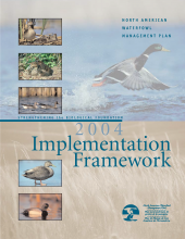 2004 Implementation Framework
