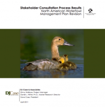Stakeholder Input Cover